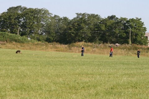 Estonian championship 2007 in IPO 3